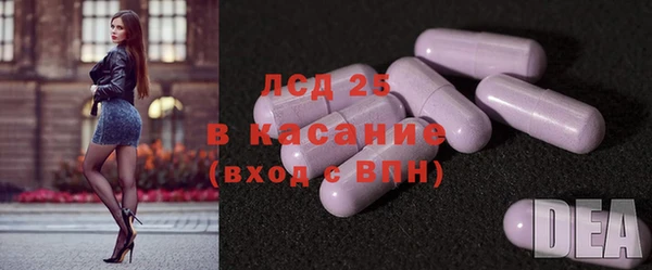 сатива Осташков