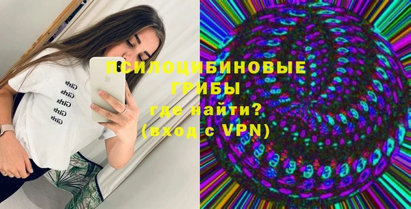 мдпв Осинники