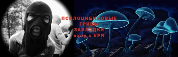 амф Пересвет