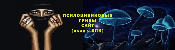 сатива Осташков