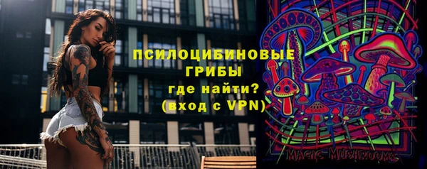 мдпв Осинники