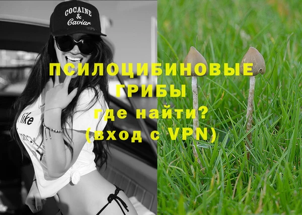 мдпв Осинники