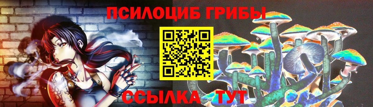 Галлюциногенные грибы Psilocybe Кирово-Чепецк