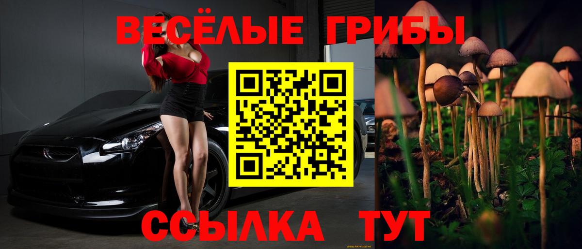 Кирово-Чепецк  Галлюциногенные грибы прущие грибы  Псилоцибиновые грибы GOLDEN TEACHER  Вход с VPN 